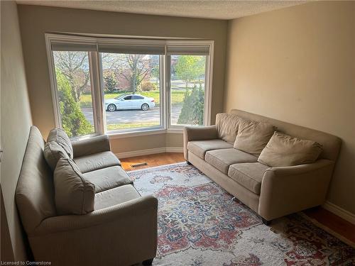 62 Medford Street, Kitchener, ON - Indoor Photo Showing Living Room