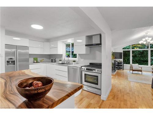 97 Century Hill Drive, Kitchener, ON - Indoor Photo Showing Kitchen