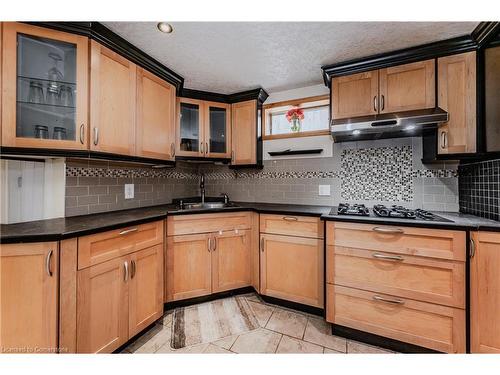 62 Ripley Crescent, Kitchener, ON - Indoor Photo Showing Kitchen