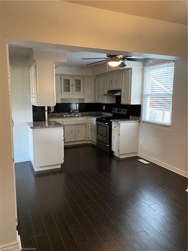 119 Walker Street, Kitchener, ON - Indoor Photo Showing Kitchen With Double Sink