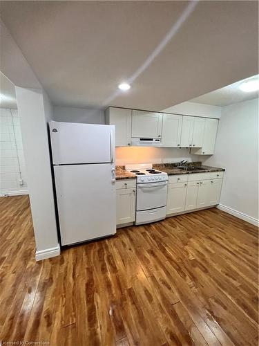 119 Walker Street, Kitchener, ON - Indoor Photo Showing Kitchen