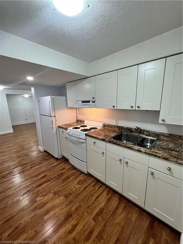 119 Walker Street, Kitchener, ON - Indoor Photo Showing Kitchen With Double Sink