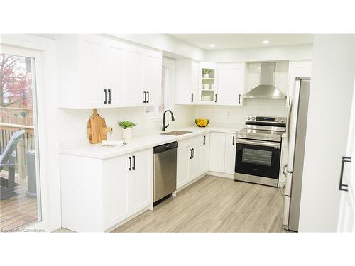 413 Lansdowne Avenue, Woodstock, ON - Indoor Photo Showing Kitchen With Stainless Steel Kitchen