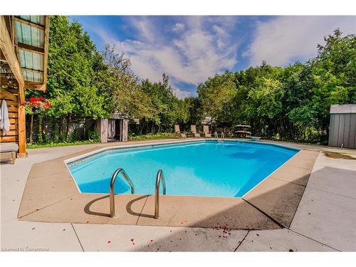 48 Templar Court, Cambridge, ON - Outdoor With In Ground Pool With Backyard