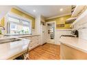 31 Chestnut Street, Kitchener, ON  - Indoor Photo Showing Kitchen With Double Sink 