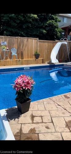 594 Burnett Avenue, Cambridge, ON - Outdoor With In Ground Pool With Backyard