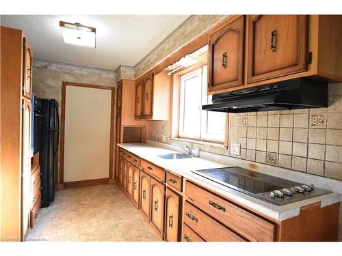 238 Lowther Street N, Cambridge, ON - Indoor Photo Showing Kitchen With Double Sink