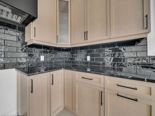 299 Ottawa Street N, Kitchener, ON - Indoor Photo Showing Kitchen