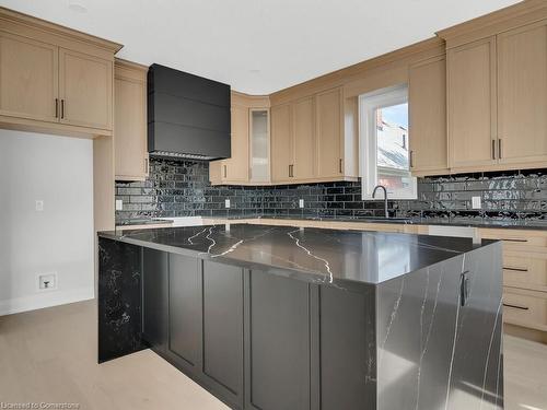 299 Ottawa Street N, Kitchener, ON - Indoor Photo Showing Kitchen