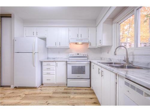 9-206 Green Valley Drive, Kitchener, ON - Indoor Photo Showing Kitchen With Double Sink