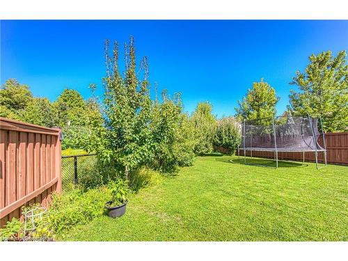 254 Seabrook Drive, Kitchener, ON - Outdoor With Backyard