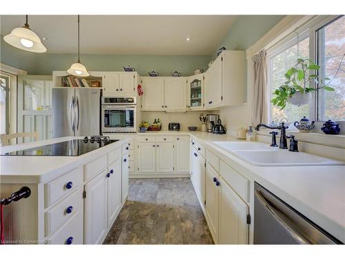 22 Harvey Street, Cambridge, ON - Indoor Photo Showing Kitchen With Double Sink