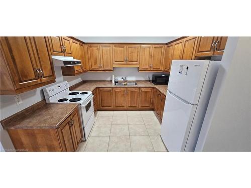 201-685 Myers Road, Cambridge, ON - Indoor Photo Showing Kitchen With Double Sink