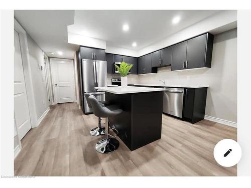 257 Chapel Hill Drive, Kitchener, ON - Indoor Photo Showing Kitchen With Stainless Steel Kitchen With Upgraded Kitchen