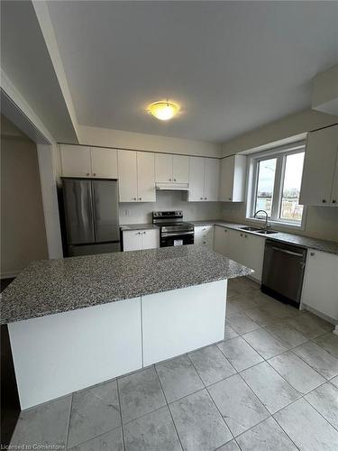 69 Moss Drive, Cambridge, ON - Indoor Photo Showing Kitchen With Double Sink With Upgraded Kitchen