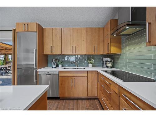 173 Carson Drive, Kitchener, ON - Indoor Photo Showing Kitchen With Double Sink