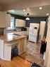 272 Main Street, Cambridge, ON  - Indoor Photo Showing Kitchen With Double Sink 