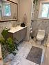 272 Main Street, Cambridge, ON  - Indoor Photo Showing Bathroom 