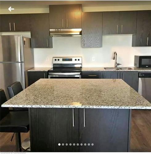 204-175 Commonwealth Street, Kitchener, ON - Indoor Photo Showing Kitchen With Stainless Steel Kitchen With Double Sink