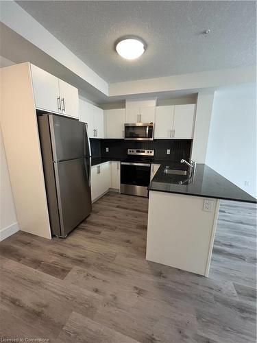 308-1101 Lackner Place, Kitchener, ON - Indoor Photo Showing Kitchen