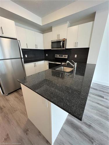 308-1101 Lackner Place, Kitchener, ON - Indoor Photo Showing Kitchen With Stainless Steel Kitchen With Double Sink With Upgraded Kitchen