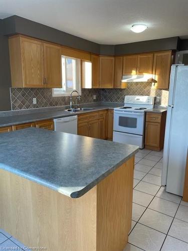 119 Mountain Mint Crescent, Kitchener, ON - Indoor Photo Showing Kitchen With Double Sink