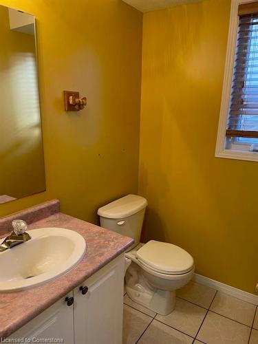 119 Mountain Mint Crescent, Kitchener, ON - Indoor Photo Showing Bathroom