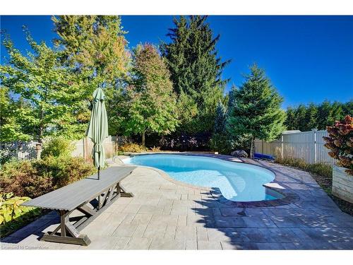 97 Davis Street Street, Guelph, ON - Outdoor With In Ground Pool With Backyard