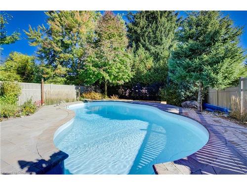 97 Davis Street Street, Guelph, ON - Outdoor With In Ground Pool With Backyard