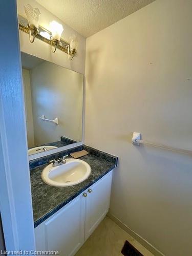 63 Hackberry Street, Kitchener, ON - Indoor Photo Showing Bathroom