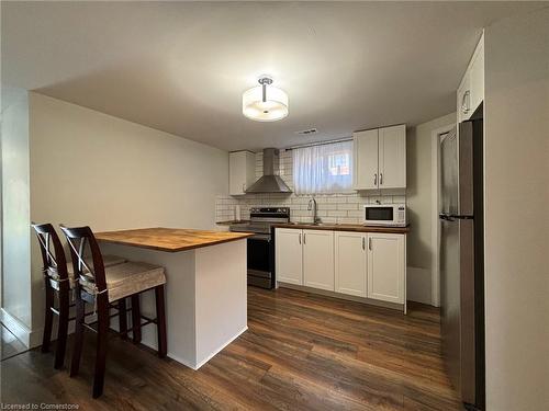 Lower-49 Westchester Drive, Kitchener, ON - Indoor Photo Showing Kitchen