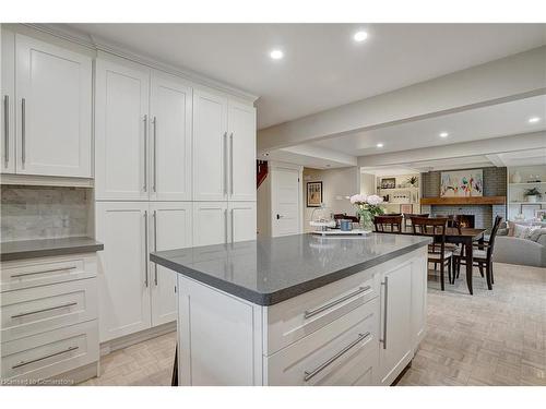 481 Regency Crescent, Waterloo, ON - Indoor Photo Showing Kitchen