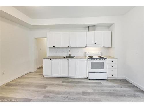 91 Water Street S, Cambridge, ON - Indoor Photo Showing Kitchen