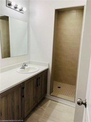 13 Roseberry Lane, Kitchener, ON - Indoor Photo Showing Bathroom