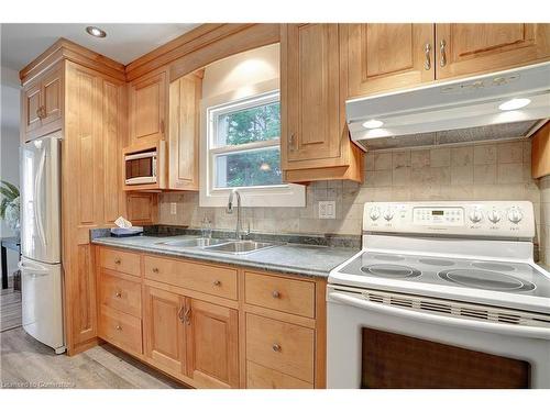 54 Elgin Street N, Cambridge, ON - Indoor Photo Showing Kitchen With Double Sink