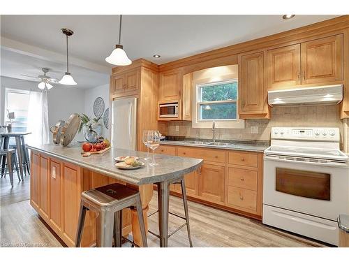 54 Elgin Street N, Cambridge, ON - Indoor Photo Showing Kitchen With Double Sink