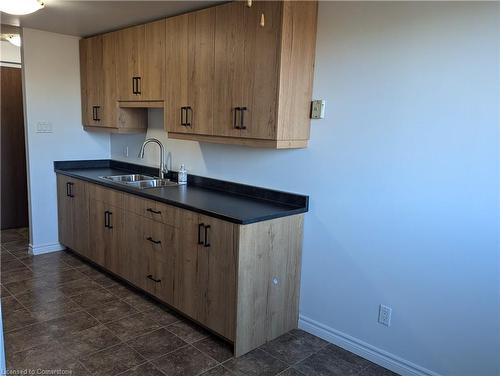 202-4 Avalon Place, Kitchener, ON - Indoor Photo Showing Kitchen With Double Sink