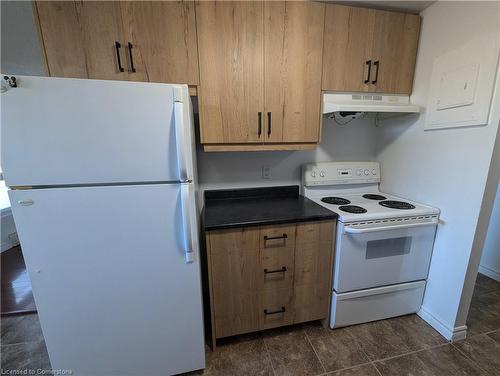 202-4 Avalon Place, Kitchener, ON - Indoor Photo Showing Kitchen