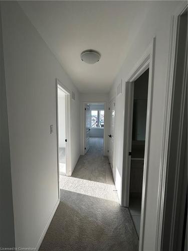 7 Routley Street, Kitchener, ON - Indoor Photo Showing Other Room