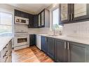 95 Scott Street, Kitchener, ON  - Indoor Photo Showing Kitchen With Double Sink 