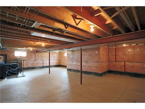 12 Riverside Circle, Smithville, ON - Indoor Photo Showing Basement