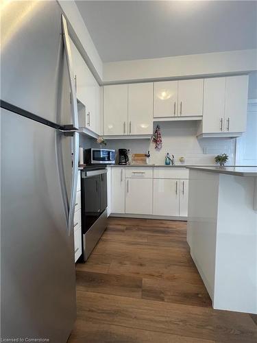 302-251 Northfield Drive E, Waterloo, ON - Indoor Photo Showing Kitchen