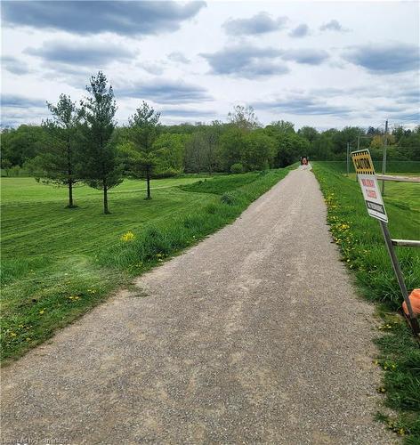 46 Bridge Street E, Kitchener, ON - Outdoor With View