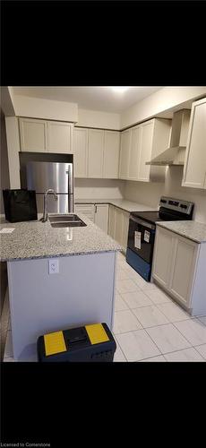 41 Gloria Street, Kitchener, ON - Indoor Photo Showing Kitchen With Double Sink