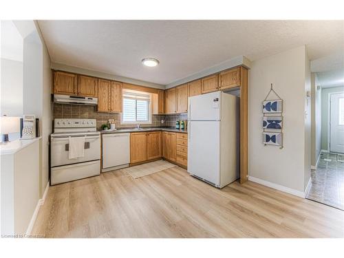 43 Dahlia Street, Kitchener, ON - Indoor Photo Showing Kitchen