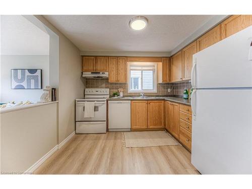 43 Dahlia Street, Kitchener, ON - Indoor Photo Showing Kitchen With Double Sink