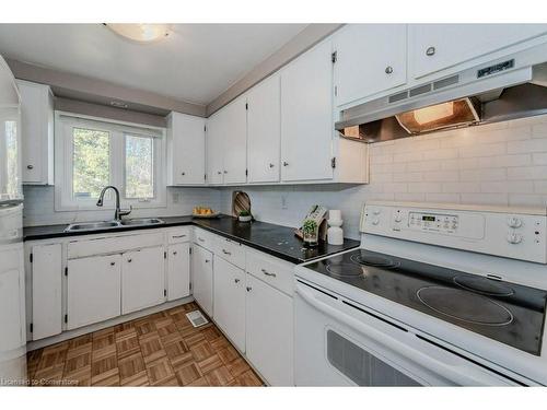 46 Appalachian Crescent, Kitchener, ON - Indoor Photo Showing Kitchen With Double Sink