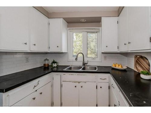 46 Appalachian Crescent, Kitchener, ON - Indoor Photo Showing Kitchen With Double Sink