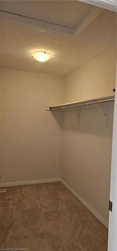 220 Cranbrook Street, Kitchener, ON - Indoor With Storage