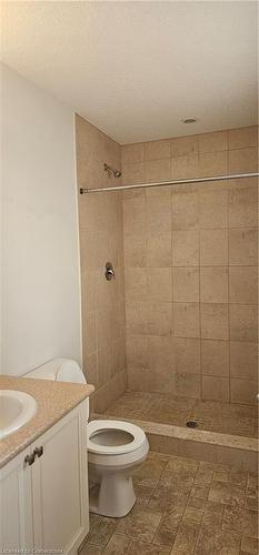 220 Cranbrook Street, Kitchener, ON - Indoor Photo Showing Bathroom